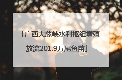 广西大藤峡水利枢纽增殖放流201.9万尾鱼苗