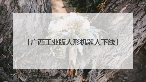 广西工业版人形机器人下线