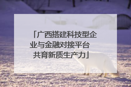 广西搭建科技型企业与金融对接平台 共育新质生产力