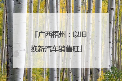 广西梧州：以旧换新汽车销售旺