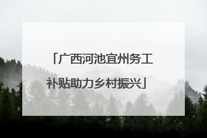 广西河池宜州务工补贴助力乡村振兴