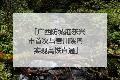 广西防城港东兴市首次与贵川陕粤实现高铁直通