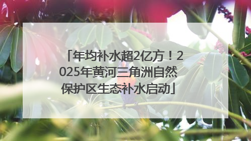 年均补水超2亿方！2025年黄河三角洲自然保护区生态补水启动