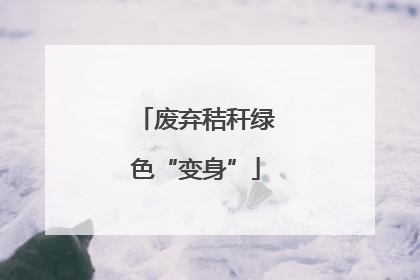 废弃秸秆绿色“变身”
