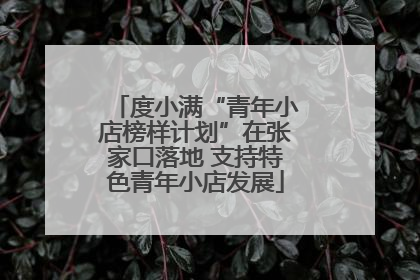 度小满“青年小店榜样计划”在张家口落地 支持特色青年小店发展