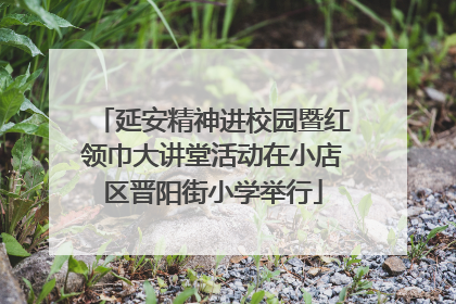 延安精神进校园暨红领巾大讲堂活动在小店区晋阳街小学举行