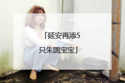 延安再添5只朱鹮宝宝