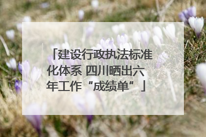 建设行政执法标准化体系 四川晒出六年工作“成绩单”
