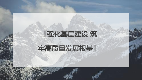 强化基层建设 筑牢高质量发展根基