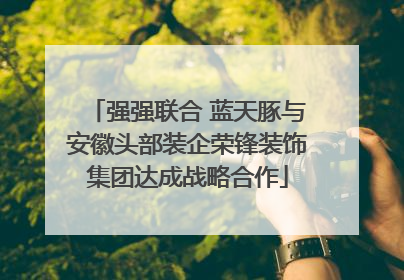 强强联合 蓝天豚与安徽头部装企荣锋装饰集团达成战略合作