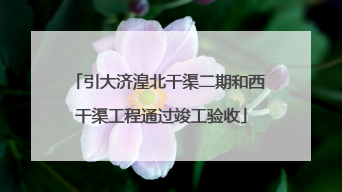 引大济湟北干渠二期和西干渠工程通过竣工验收