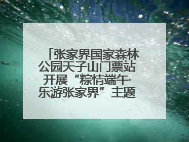 张家界国家森林公园天子山门票站开展“粽情端午·乐游张家界”主题宠客活动
