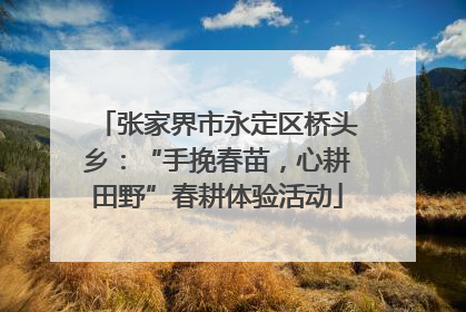 张家界市永定区桥头乡：“手挽春苗，心耕田野”春耕体验活动