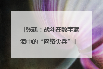 张建：战斗在数字蓝海中的“网络尖兵”
