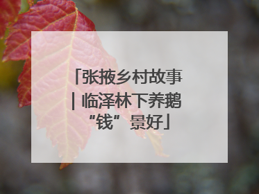 张掖乡村故事｜临泽林下养鹅“钱”景好