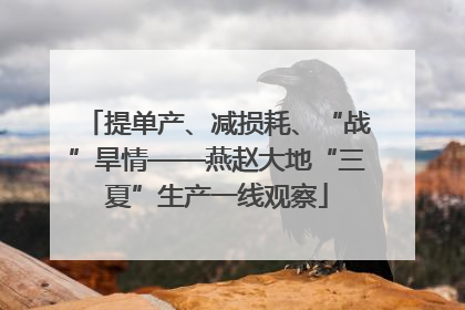提单产、减损耗、“战”旱情——燕赵大地“三夏”生产一线观察