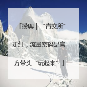 捞舆｜“青交所”走红，流量密码是官方带头“玩起来”