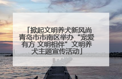 掀起文明养犬新风尚 青岛市市南区举办“宠爱有方 文明相伴”文明养犬主题宣传活动