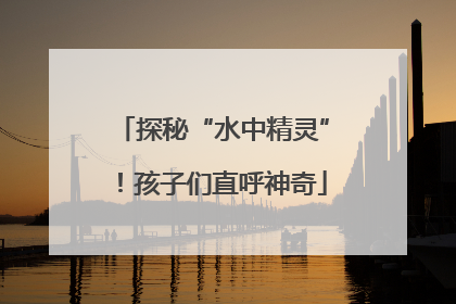 探秘“水中精灵”！孩子们直呼神奇
