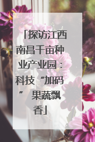 探访江西南昌千亩种业产业园：科技“加码” 果蔬飘香