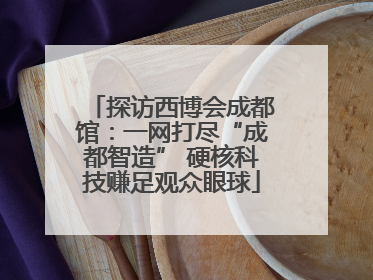 探访西博会成都馆：一网打尽“成都智造” 硬核科技赚足观众眼球