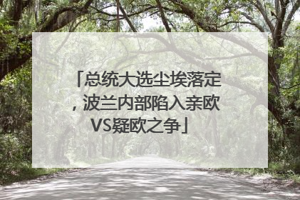 总统大选尘埃落定，波兰内部陷入亲欧VS疑欧之争