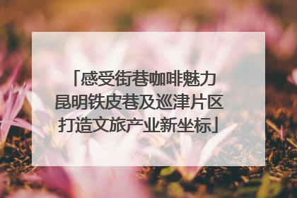 感受街巷咖啡魅力 昆明铁皮巷及巡津片区打造文旅产业新坐标