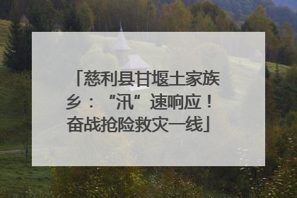 慈利县甘堰土家族乡：“汛”速响应！奋战抢险救灾一线