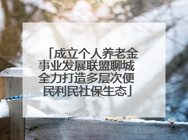 成立个人养老金事业发展联盟聊城全力打造多层次便民利民社保生态