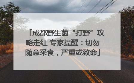 成都野生菌“打野”攻略走红 专家提醒：切勿随意采食，严重或致命