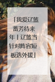 我爱辽篮 蓄芳待来年丨辽篮当针对阵容短板选外援