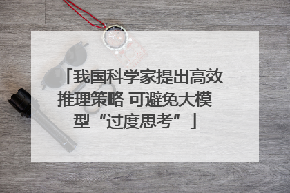 我国科学家提出高效推理策略 可避免大模型“过度思考”