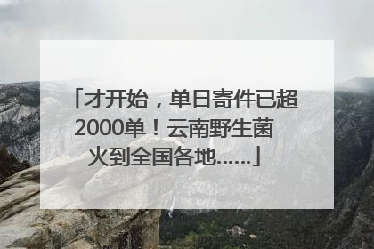 才开始，单日寄件已超2000单！云南野生菌火到全国各地……