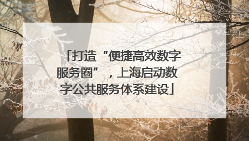 打造“便捷高效数字服务圈”，上海启动数字公共服务体系建设