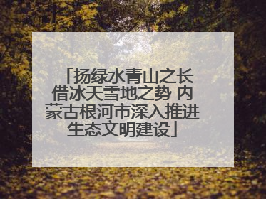 扬绿水青山之长 借冰天雪地之势 内蒙古根河市深入推进生态文明建设