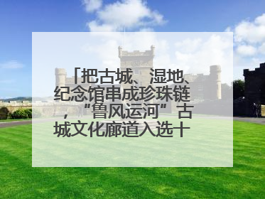 把古城、湿地、纪念馆串成珍珠链，“鲁风运河”古城文化廊道入选十大最美农村路