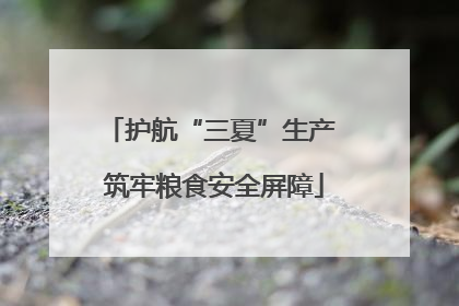 护航“三夏”生产 筑牢粮食安全屏障