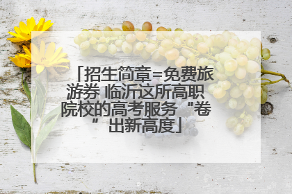 招生简章=免费旅游券 临沂这所高职院校的高考服务“卷”出新高度