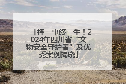 择一事终一生！2024年四川省“文物安全守护者”及优秀案例揭晓