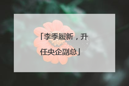 李季履新，升任央企副总