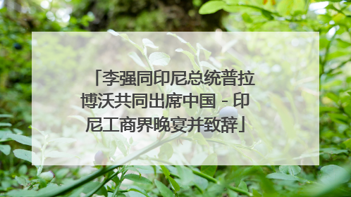 李强同印尼总统普拉博沃共同出席中国－印尼工商界晚宴并致辞
