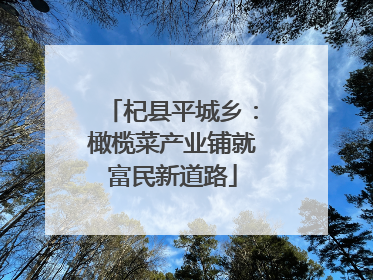 杞县平城乡：橄榄菜产业铺就富民新道路