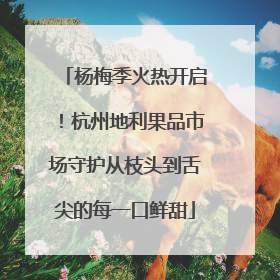 杨梅季火热开启！杭州地利果品市场守护从枝头到舌尖的每一口鲜甜
