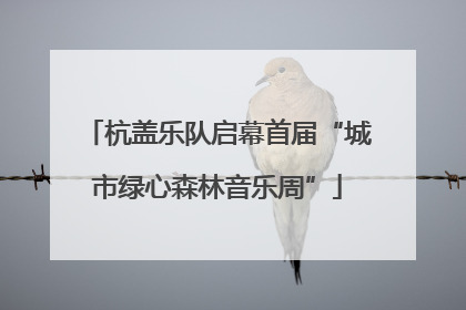 杭盖乐队启幕首届“城市绿心森林音乐周”