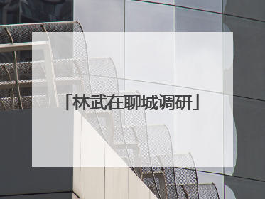 林武在聊城调研