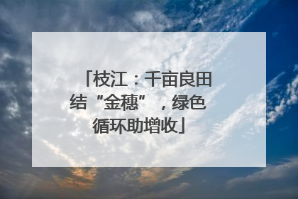 枝江：千亩良田结“金穗”，绿色循环助增收