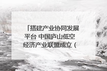 搭建产业协同发展平台 中国庐山低空经济产业联盟成立（组图｜视频）