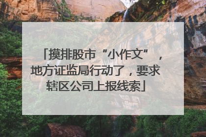 摸排股市“小作文”，地方证监局行动了，要求辖区公司上报线索
