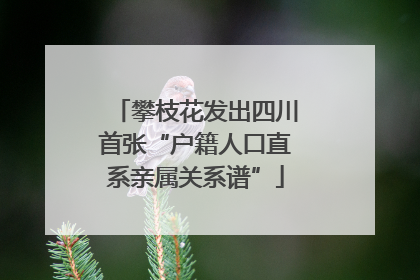 攀枝花发出四川首张“户籍人口直系亲属关系谱”