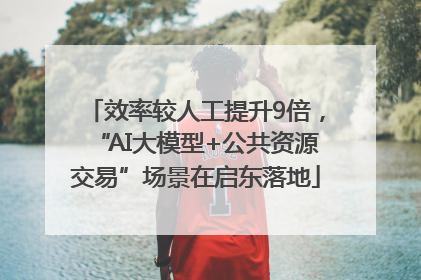 效率较人工提升9倍，“AI大模型+公共资源交易”场景在启东落地